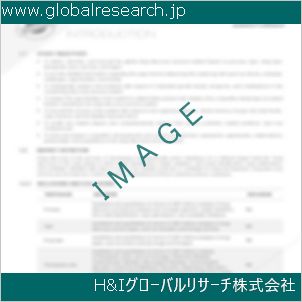 グローバルリサーチ調査資料のイメージ